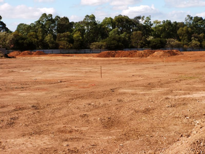 Commercial Land Clearing Service