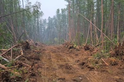 Commercial Property Clearing in Gwinnett County, GA