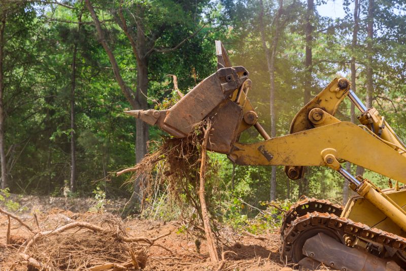 What’s Involved In Professional Land Clearing?